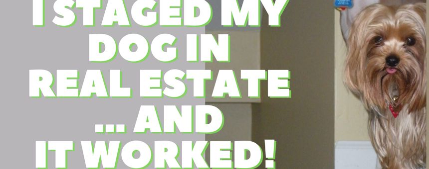 Stage Your Dog in a Home Sale?! 