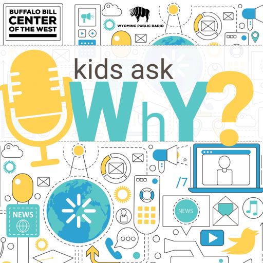 Cover art for podcast Kids Ask Why?