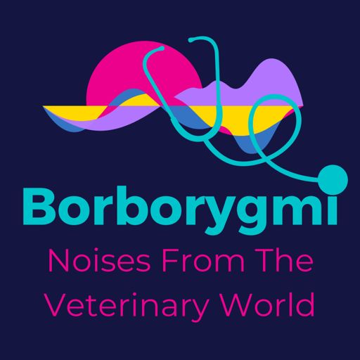 Cover art for podcast Borborygmi: Noises From The Veterinary World
