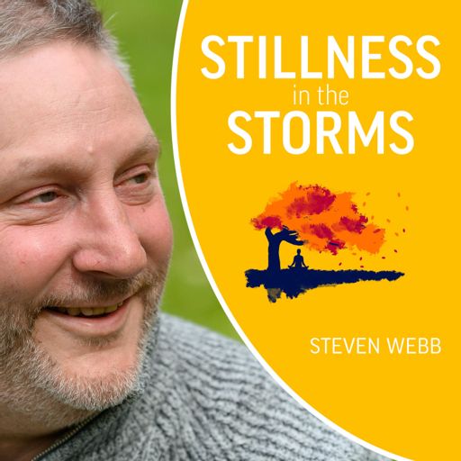 Cover art for podcast Stillness in the Storms