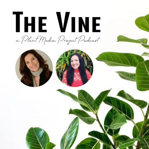Cover art for podcast The Vine
