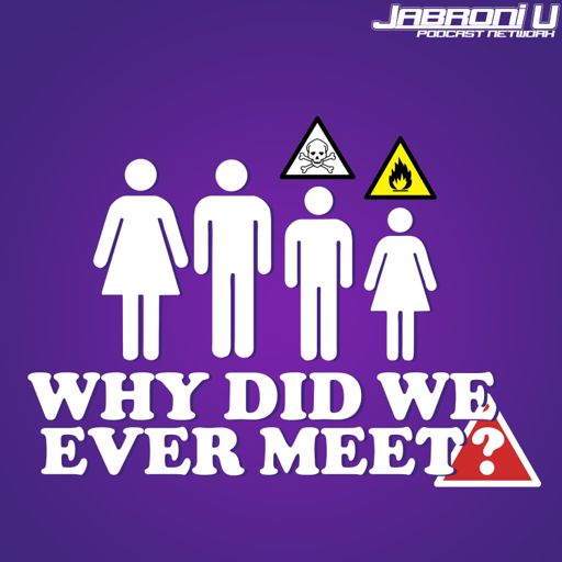 Cover art for podcast Why Did We Ever Meet?