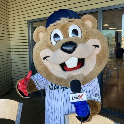 Gwinnett Braves Mascot to Visit Buford Library