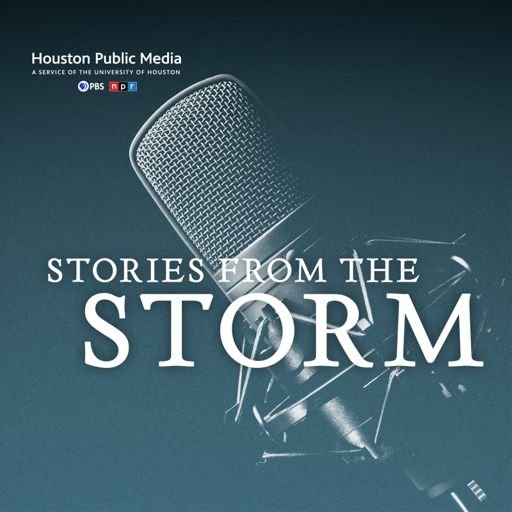 Cover art for podcast Stories from the Storm