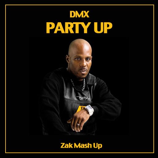 Dmx party up