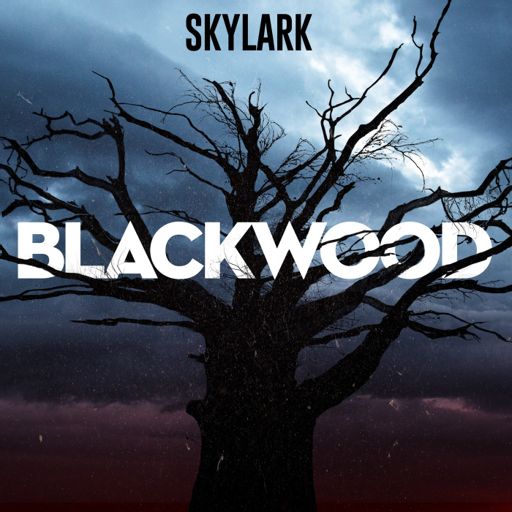 Cover art for podcast Blackwood