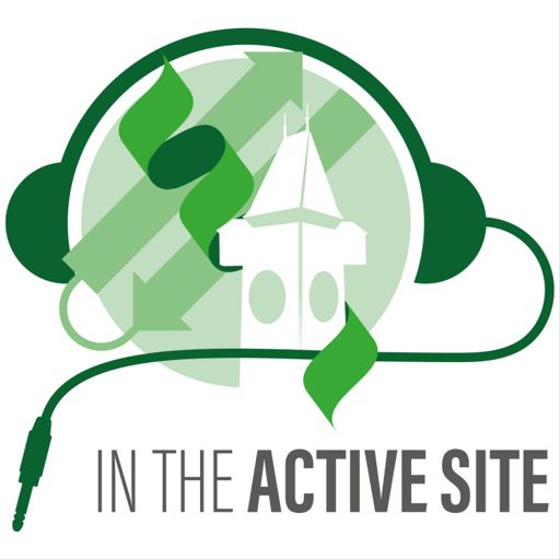 Cover art for podcast In the Active Site