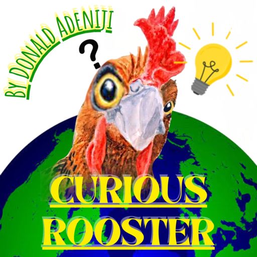 Cover art for podcast CURIOUS ROOSTER 