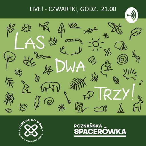 Cover art for podcast LAS DWA TRZY