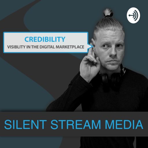 Cover art for podcast Visibility in The Digital Marketplace