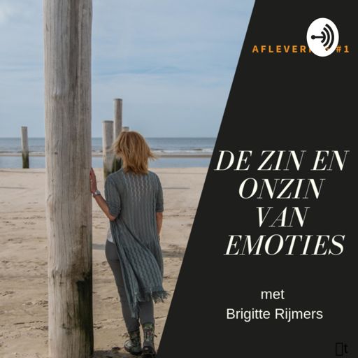 Cover art for podcast De Zin en Onzin van Emoties 