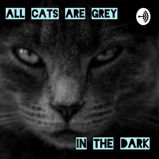 Cover art for podcast All Cats Are Grey In The Dark