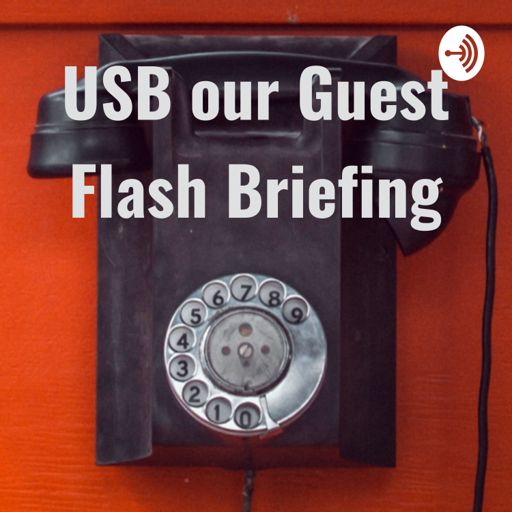 Cover art for podcast USB our Guest - Cyber security Best Practices and News