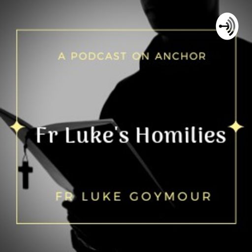Cover art for podcast Fr Luke's Homilies 