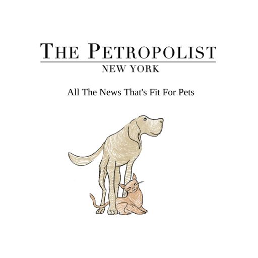 Cover art for podcast The Petropolist