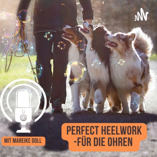 Cover art for podcast Perfect Heelwork-für die Ohren