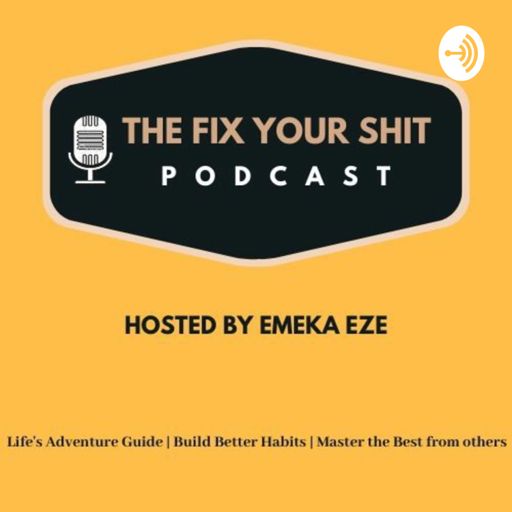 Cover art for podcast The FYS PODCAST