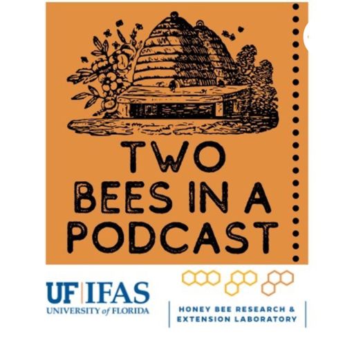 Cover art for podcast Two Bees in a Podcast 