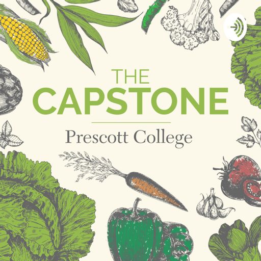 Cover art for podcast The Capstone