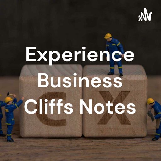 Cover art for podcast Experience Business Cliffs Notes