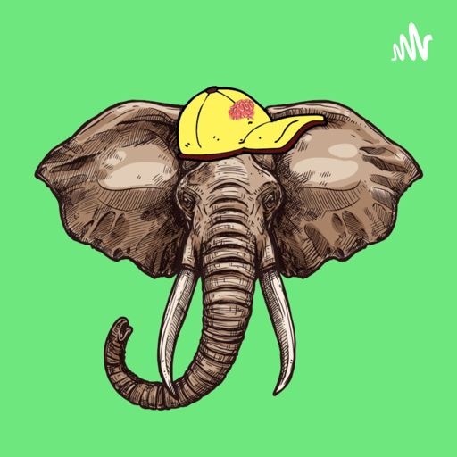 Memória de Elefante on RadioPublic