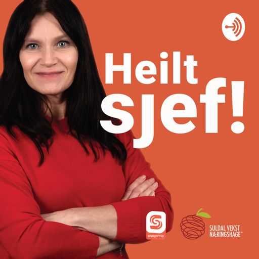 Cover art for podcast Heilt Sjef!