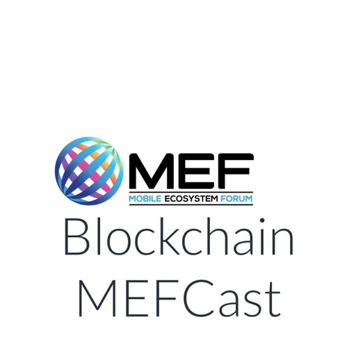 Cover art for podcast The MEF Blockchain PodCast