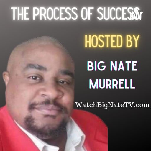 Cover art for podcast The Process Of Success