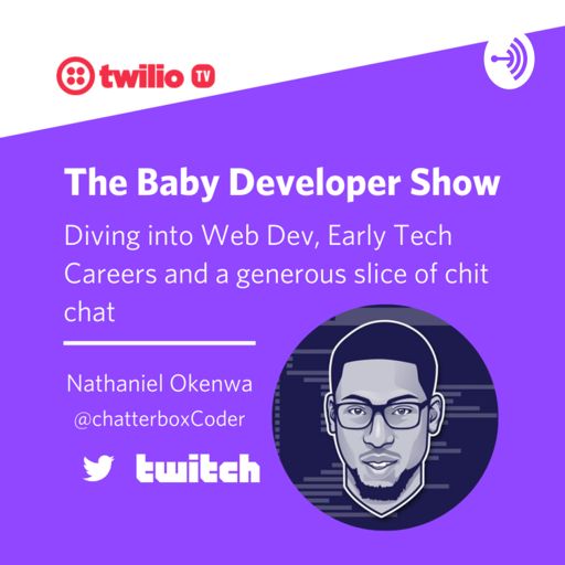 Cover art for podcast The Baby Developer Show