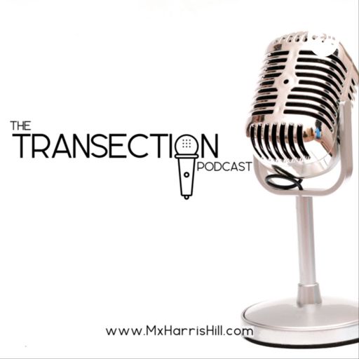 Cover art for podcast The Transection Podcast
