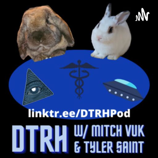 Cover art for podcast Down The Rabbit Hole with Mitch Vuk