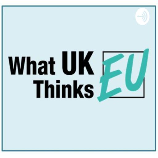 Cover art for podcast What UK Thinks