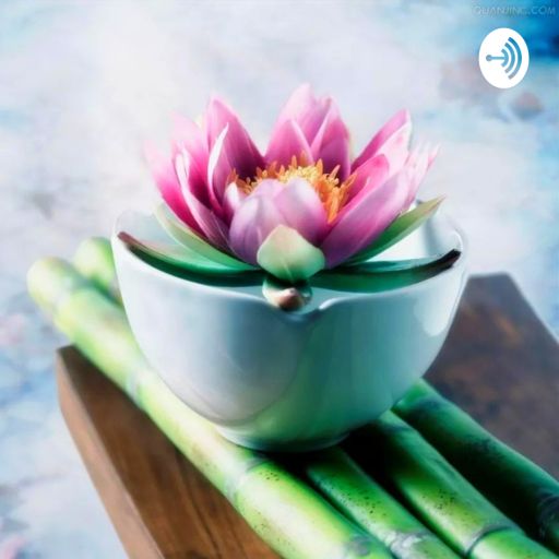 Cover art for podcast Het pad van de Lotus