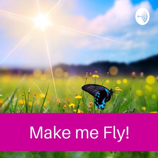 Cover art for podcast Make me Fly!
