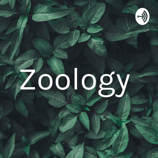 Cover art for podcast Zoology 