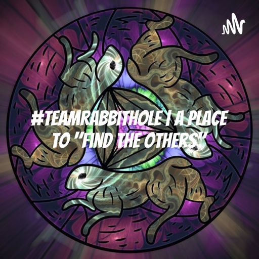 Cover art for podcast #TEAMrabbithole | A place to 
