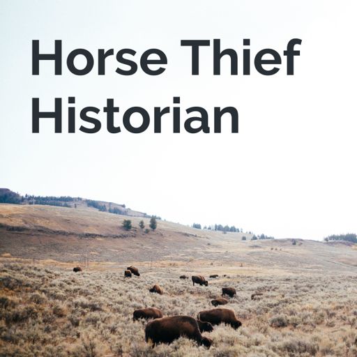 Cover art for podcast Horse Thief Historian