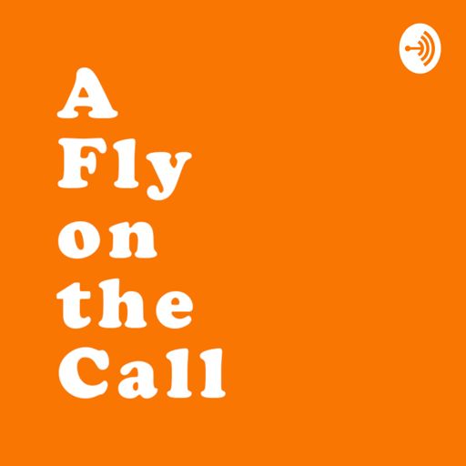 Cover art for podcast A Fly On The Call