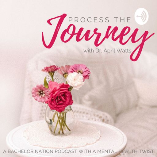 Cover art for podcast Process the Journey