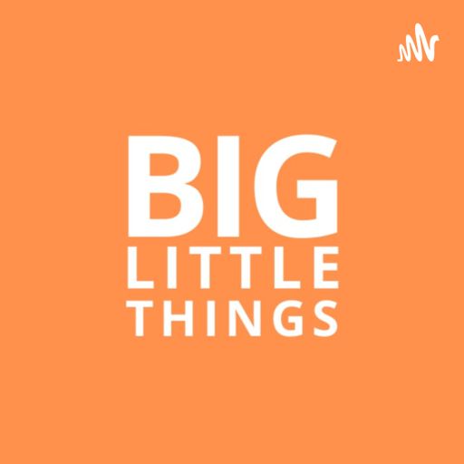 Cover art for podcast Big Little Things