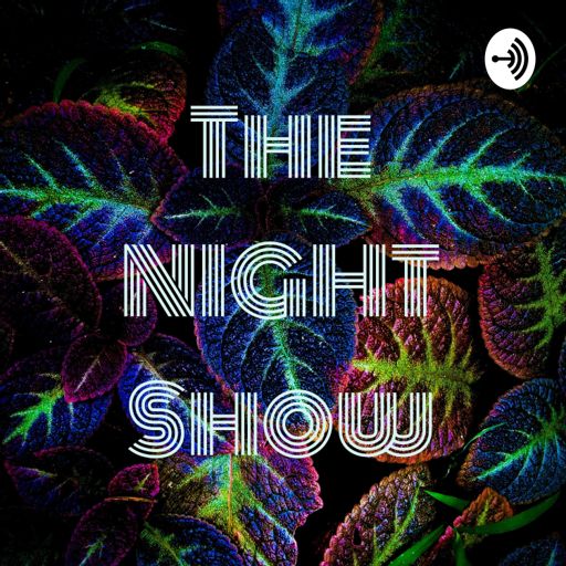 Cover art for podcast The NIGHT Show