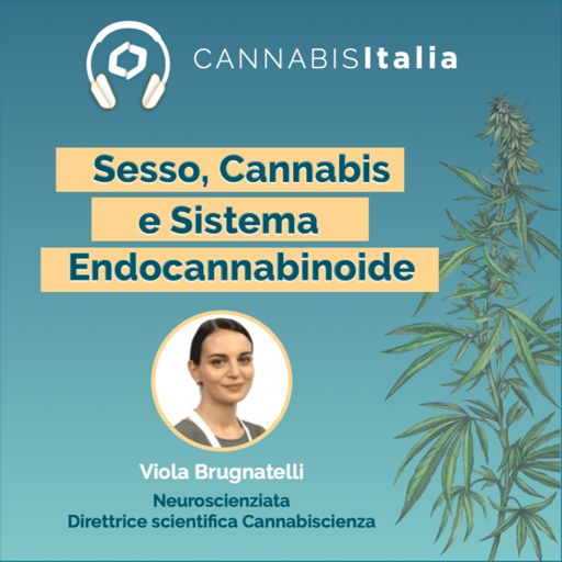 Cannabis legale e conseguenze sulla salute - Intervista al Dott