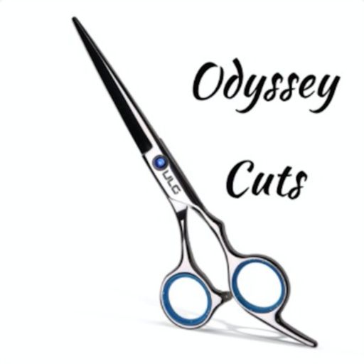 Cover art for podcast Odyssey Cuts