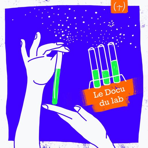 Cover art for podcast Le Docu du Lab