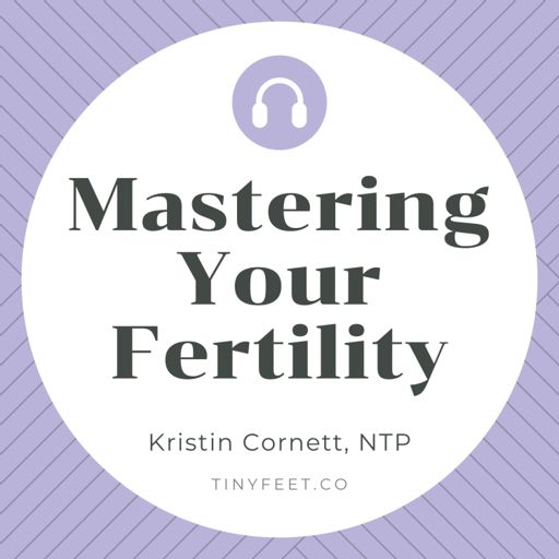 Cover art for podcast Mastering Your Fertility
