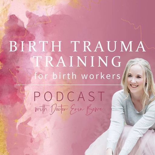Cover art for podcast Birth Trauma Training for Birth Workers