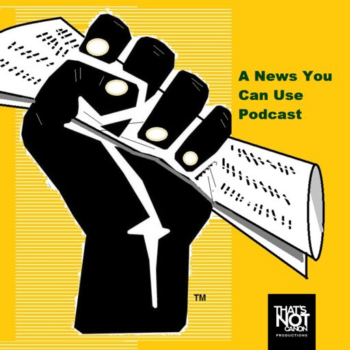 Cover art for podcast A News You Can Use Podcast 