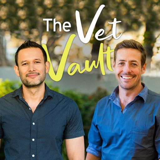 Cover art for podcast The Vet Vault
