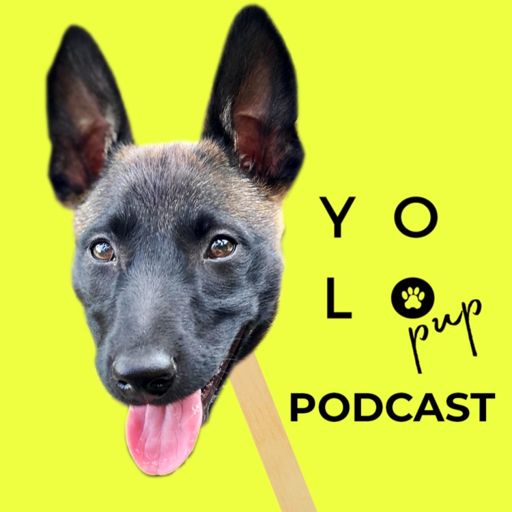 Cover art for podcast YOLO PUP PODCAST