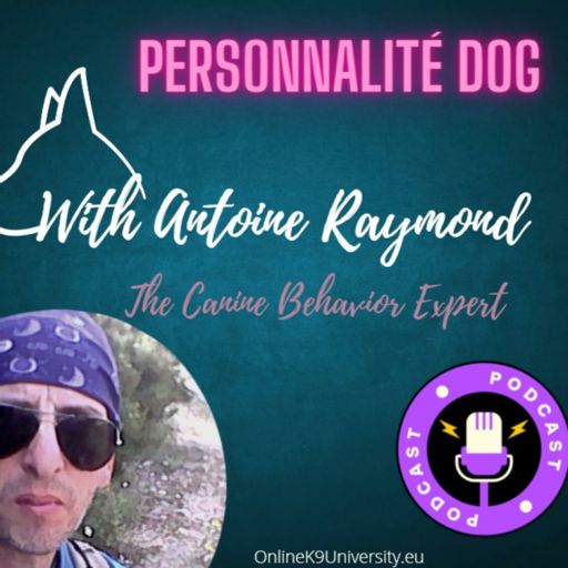 Cover art for podcast Personnalité Dog